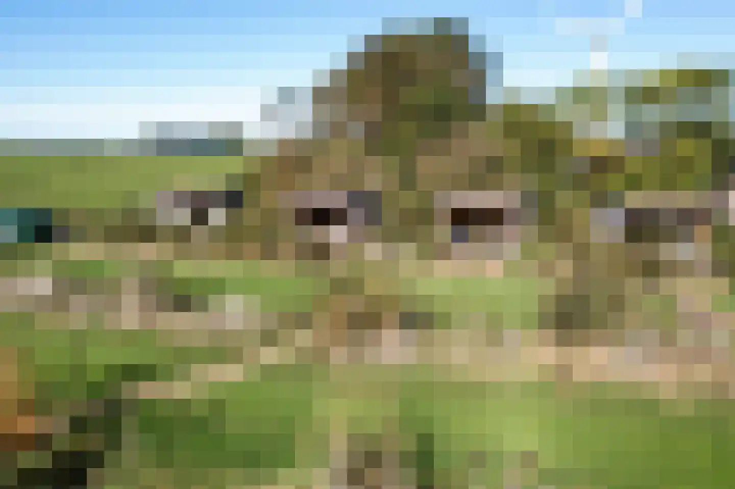 Kleasterdyk 2 Britswert thumbnail 44