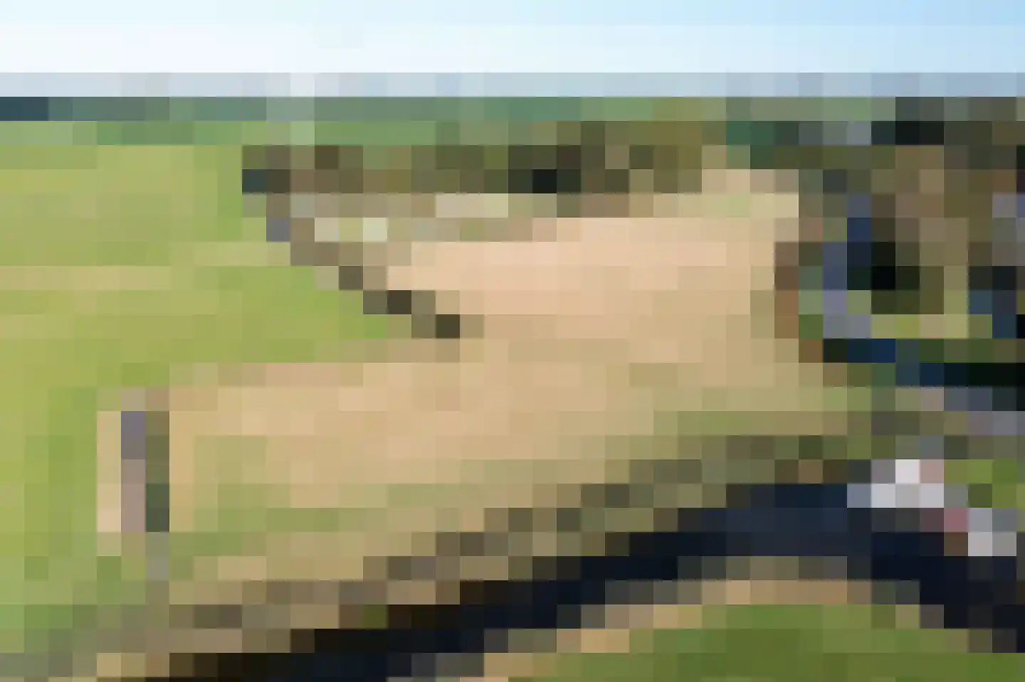 Kleasterdyk 2 Britswert thumbnail 6