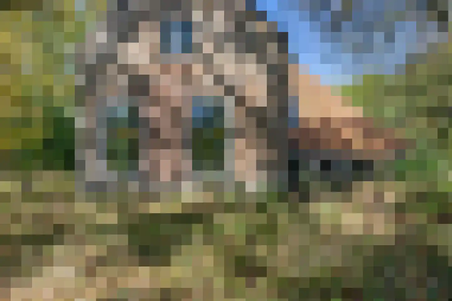 Kleasterdyk 2 Britswert thumbnail 7