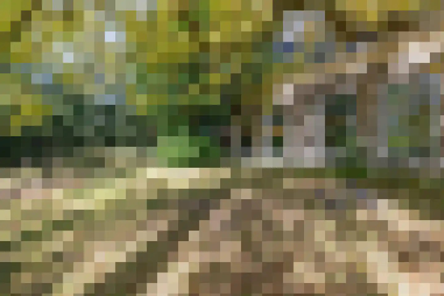 Kleasterdyk 2 Britswert thumbnail 8