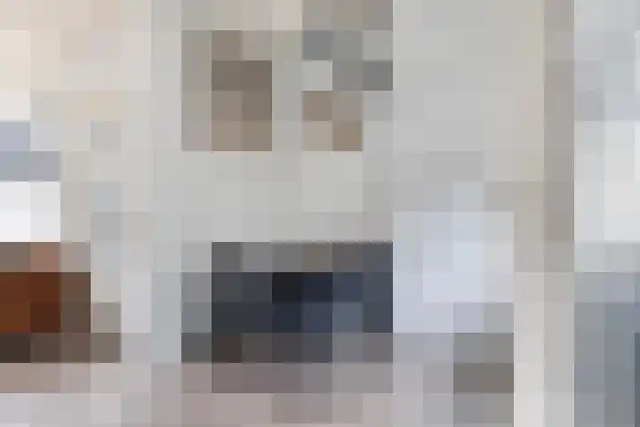 Kleasterdyk 28 Winsum thumbnail 11