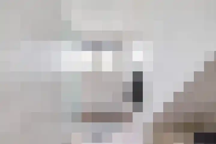Kleasterdyk 28 Winsum thumbnail 20