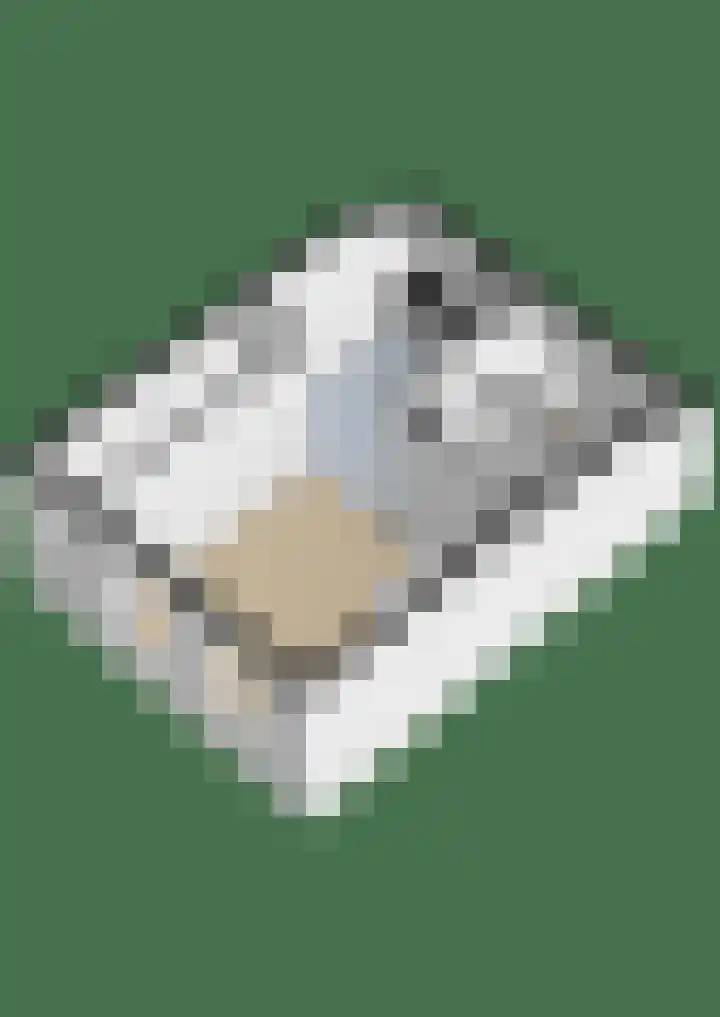Kleasterdyk 28 Winsum thumbnail 37
