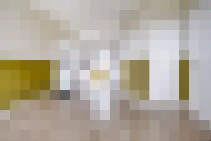 Kleasterdyk 30 Winsum thumbnail 8