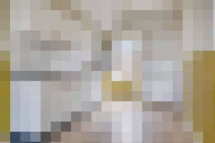 Kleasterdyk 30 Winsum thumbnail 9