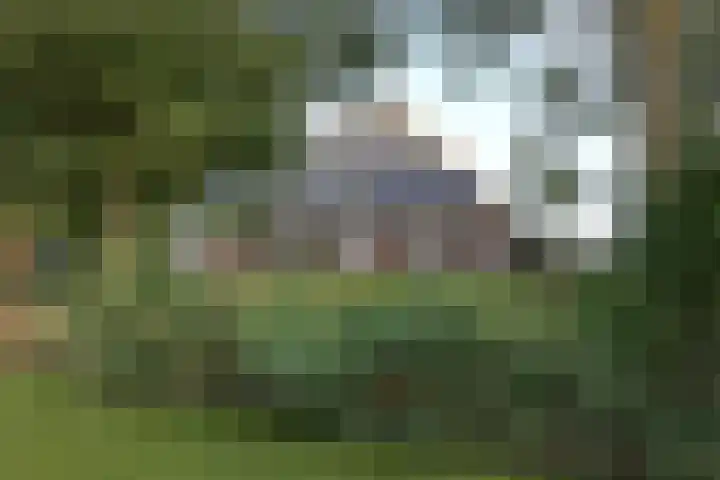 Kleasterwei 1 Ysbrechtum