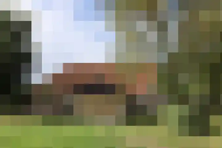 Kleasterwei 1 Ysbrechtum thumbnail 10