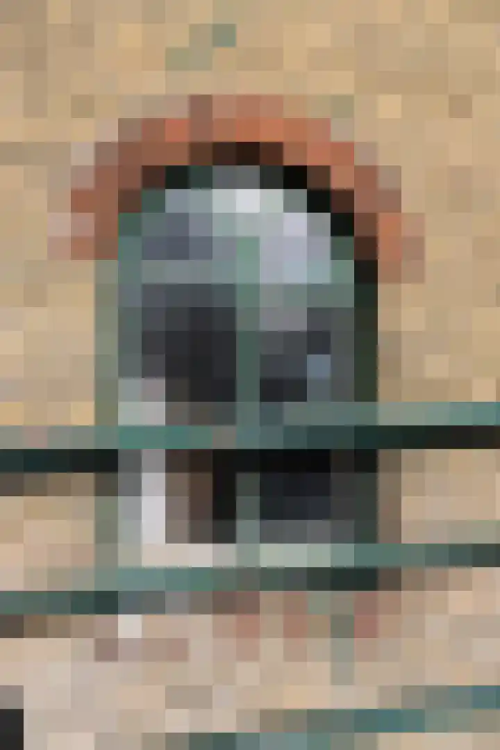 Kleasterwei 1 Ysbrechtum thumbnail 18