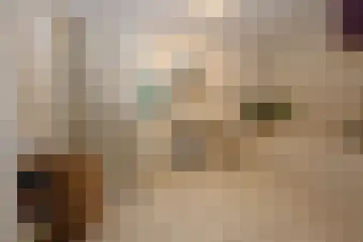Kleasterwei 1 Ysbrechtum thumbnail 32