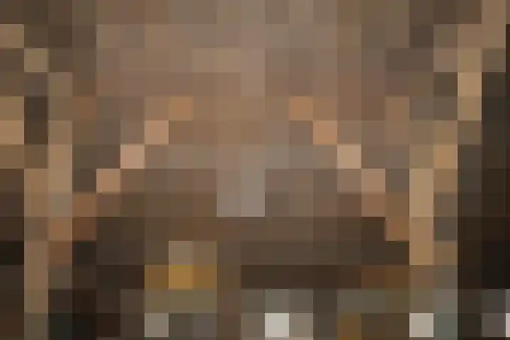 Kleasterwei 1 Ysbrechtum thumbnail 41