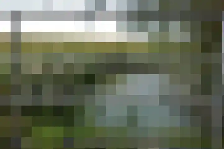 Kleasterwei 1 Ysbrechtum thumbnail 45