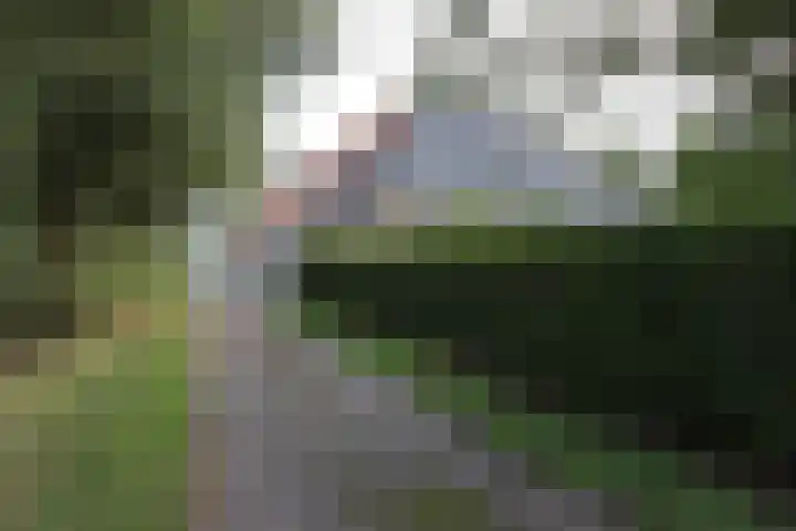 Kleasterwei 1 Ysbrechtum thumbnail 47