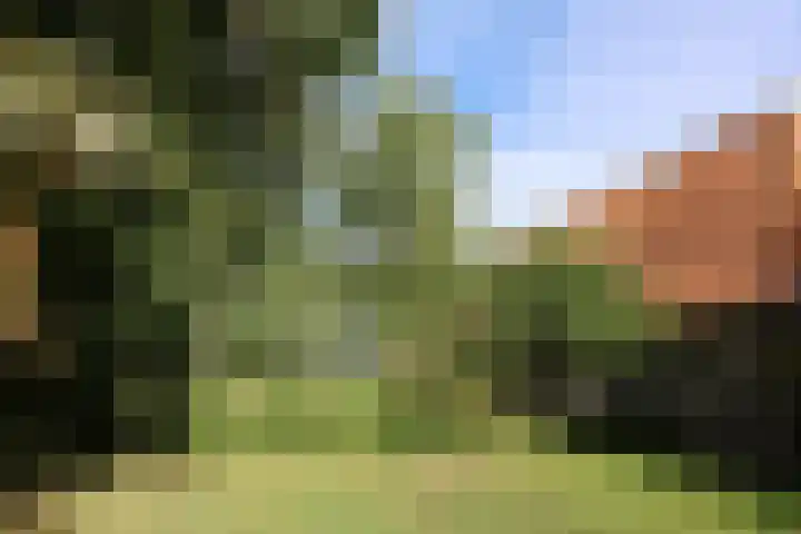 Kleasterwei 1 Ysbrechtum thumbnail 8