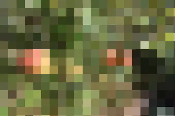 Kleasterwei 1 Ysbrechtum thumbnail 9