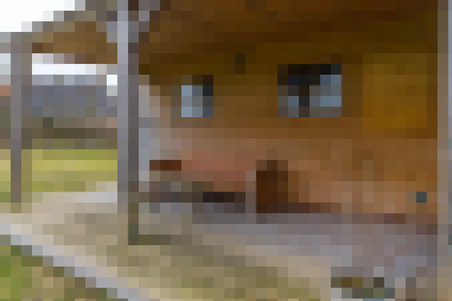 Kleasterwei 15 Feankleaster thumbnail 34