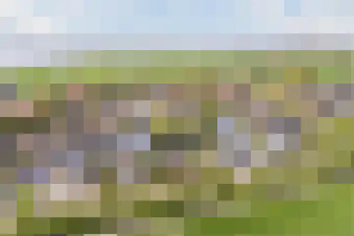 Kleasterwei 15 Goingarijp