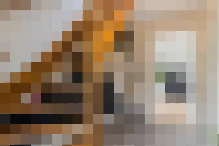 Kleasterwei 15 Goingarijp thumbnail 26