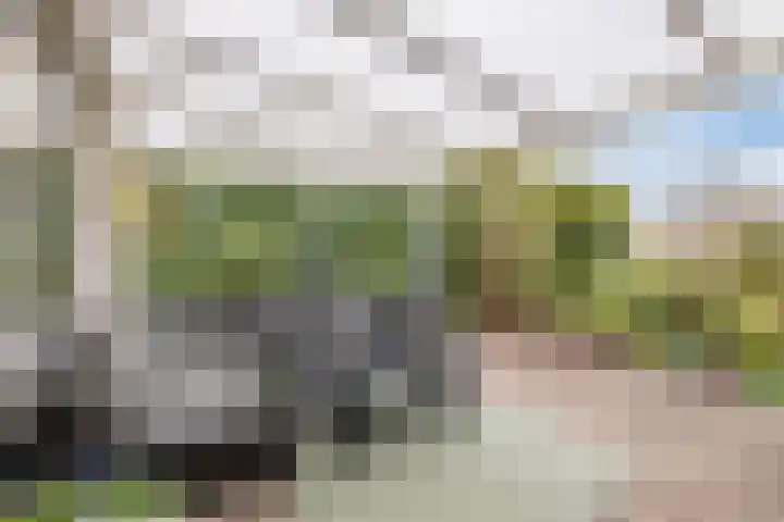 Kleasterwei 15 Goingarijp thumbnail 40