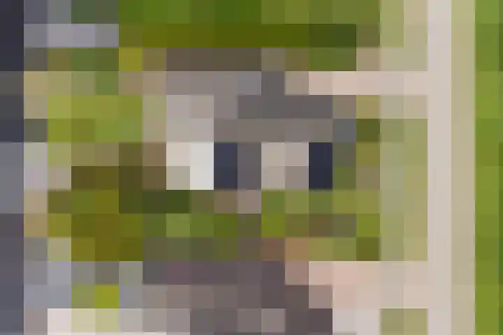 Kleasterwei 15 Goingarijp thumbnail 47