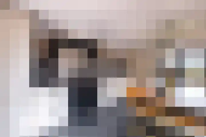 Kleasterwei 16 Tzummarum thumbnail 26