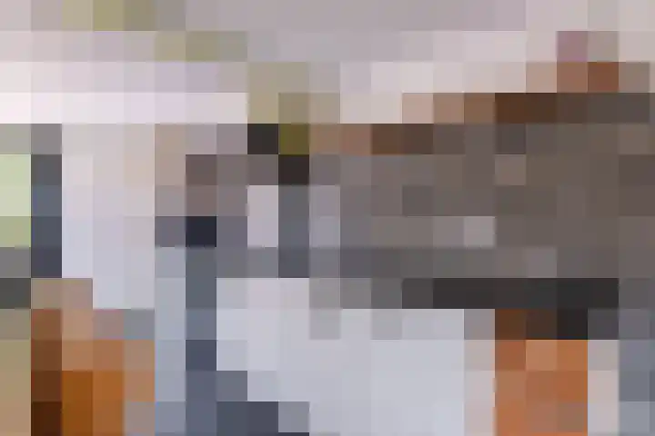 Kleasterwei 16 Tzummarum thumbnail 27