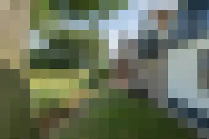 Kleasterwei 16 Tzummarum thumbnail 53