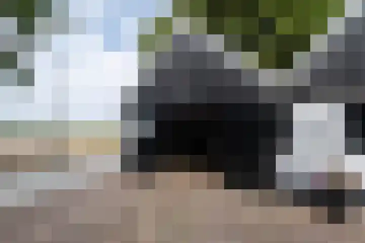 Kleasterwei 16 Tzummarum thumbnail 64