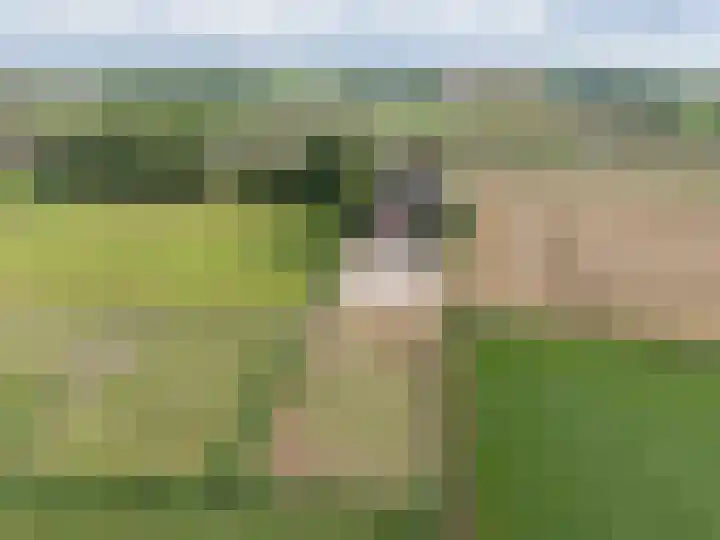 Kleasterwei 16 Tzummarum thumbnail 75