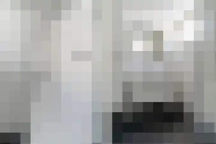 Kleasterwei 25 Ysbrechtum thumbnail 25