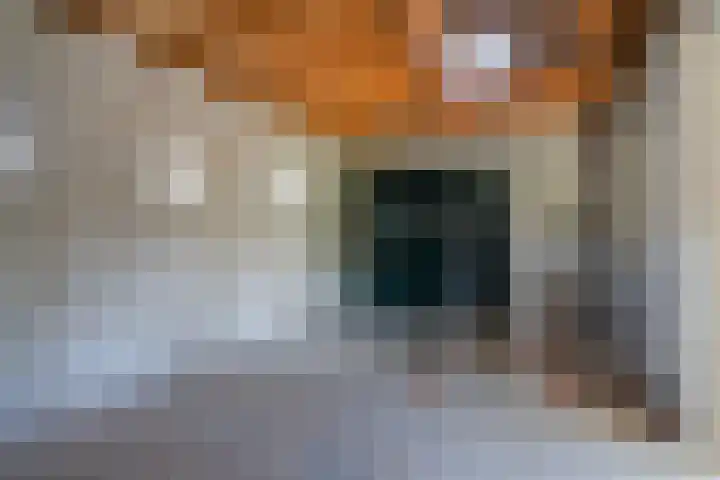 Kleasterwei 25 Ysbrechtum thumbnail 28