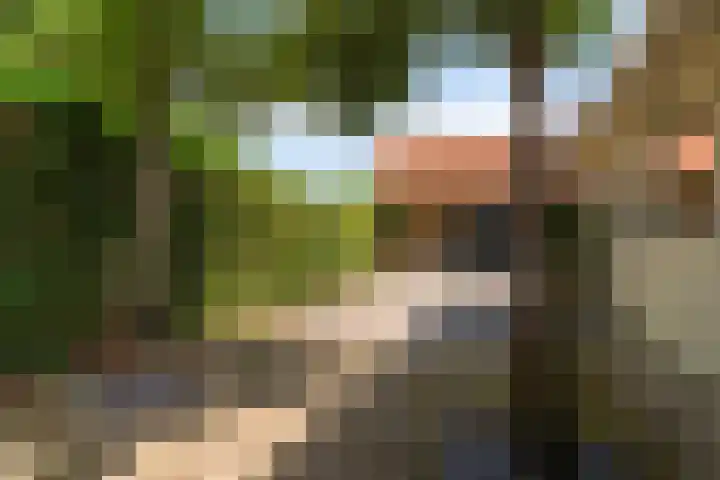 Kleasterwei 25 Ysbrechtum thumbnail 30