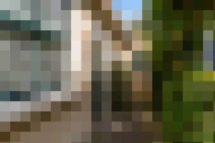 Kleasterwei 25 Ysbrechtum thumbnail 36