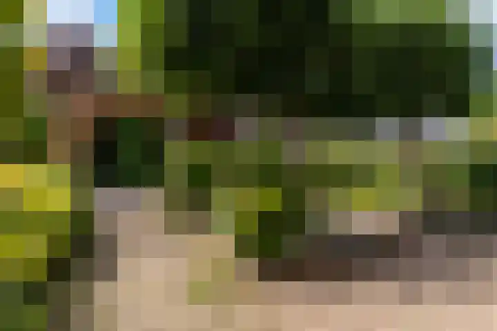 Kleasterwei 25 Ysbrechtum thumbnail 37