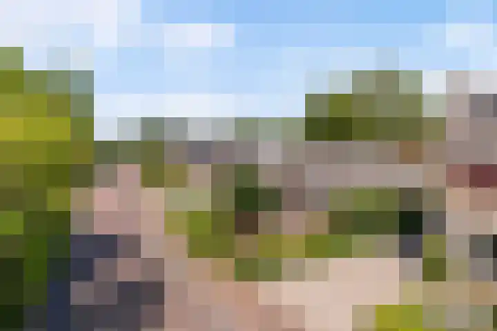 Kleasterwei 25 Ysbrechtum thumbnail 41