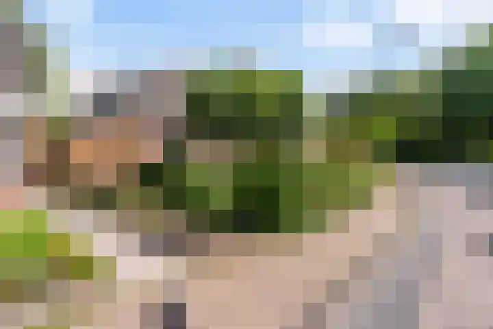 Kleasterwei 25 Ysbrechtum thumbnail 42