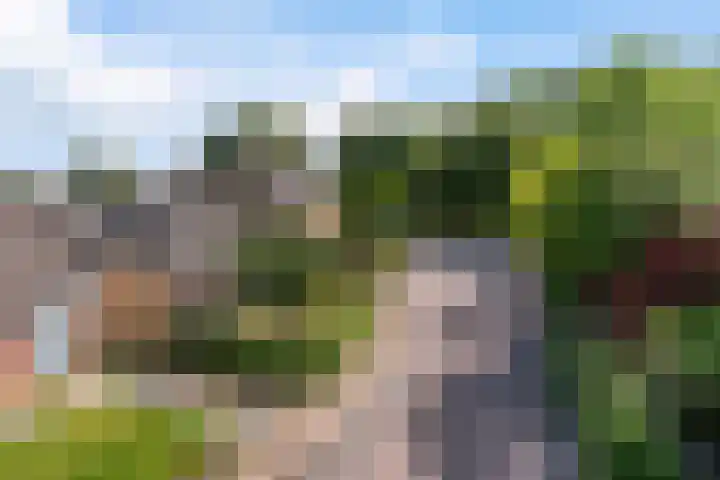 Kleasterwei 25 Ysbrechtum thumbnail 43