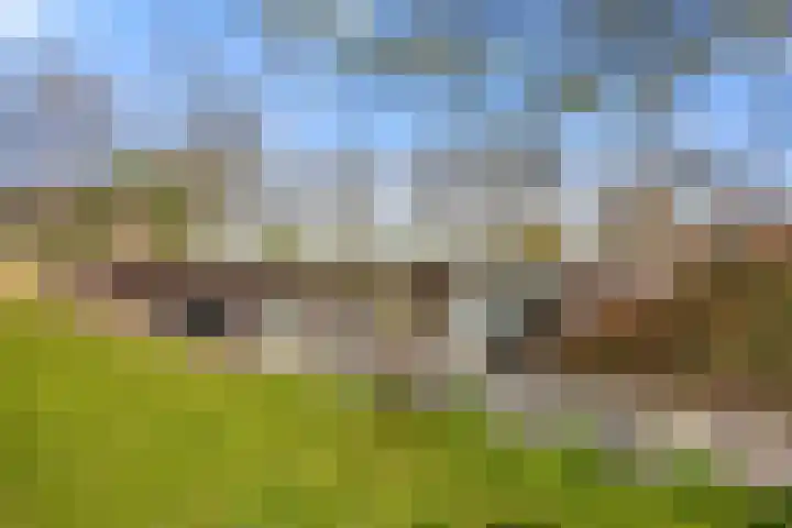 Kleasterwei 4 Tzummarum thumbnail 11