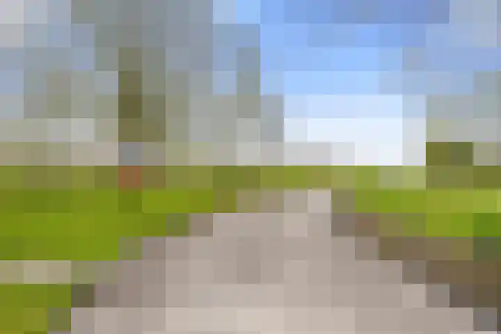 Kleasterwei 4 Tzummarum thumbnail 20