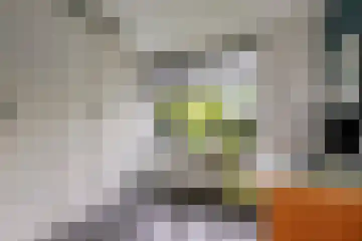 Kleasterwei 4 Tzummarum thumbnail 40