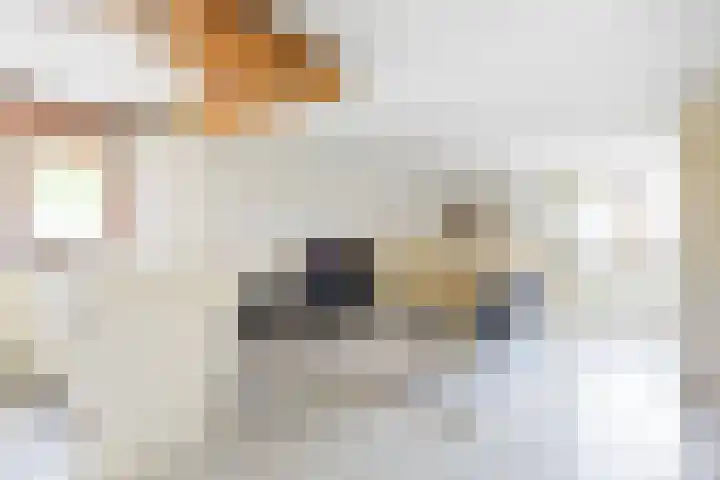 Kleasterwei 4 Tzummarum thumbnail 50