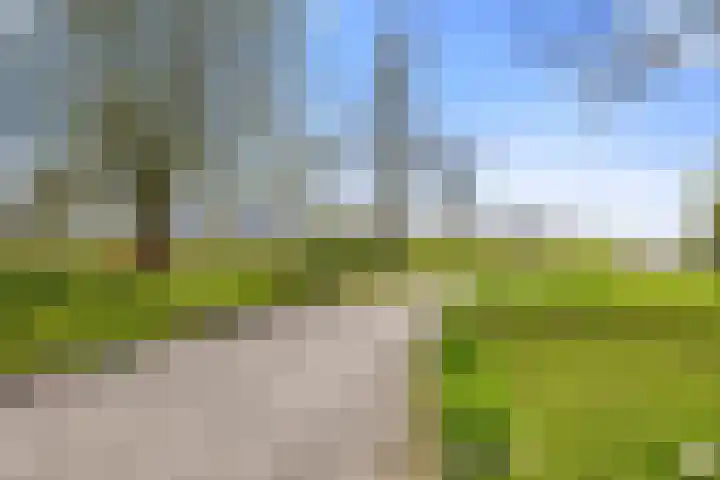 Kleasterwei 4 Tzummarum thumbnail 6