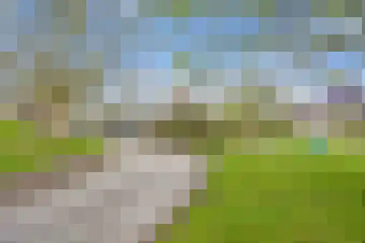 Kleasterwei 4 Tzummarum thumbnail 63