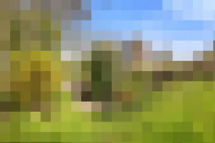Kleasterwei 4 Tzummarum thumbnail 64