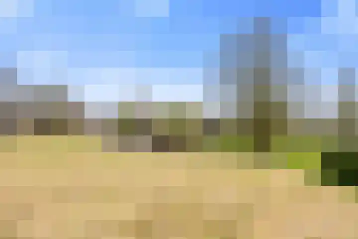 Kleasterwei 4 Tzummarum thumbnail 7