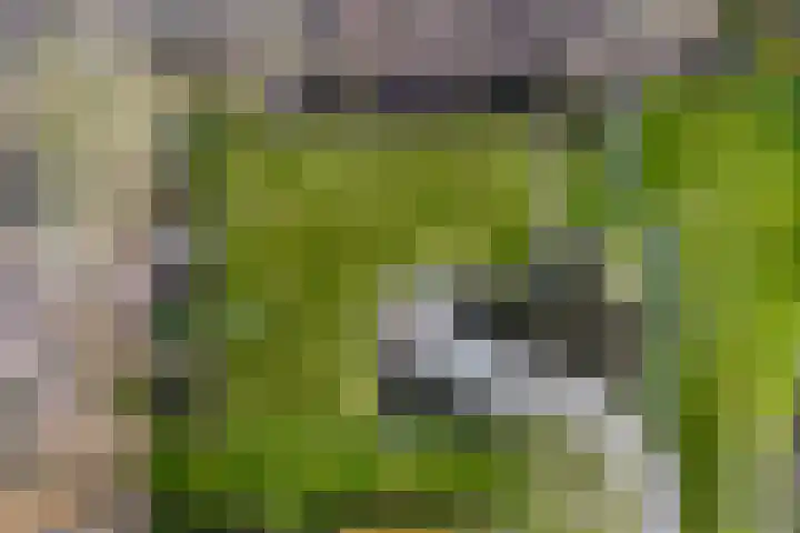 Kleasterwei 4 Tzummarum thumbnail 71