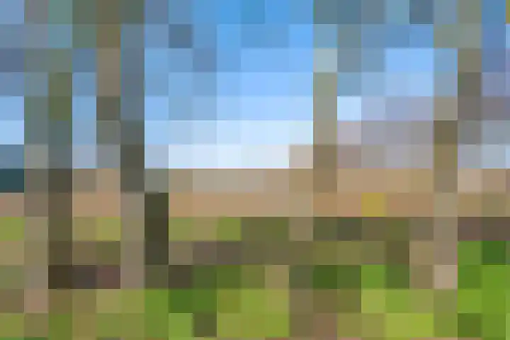 Kleasterwei 4 Tzummarum thumbnail 73
