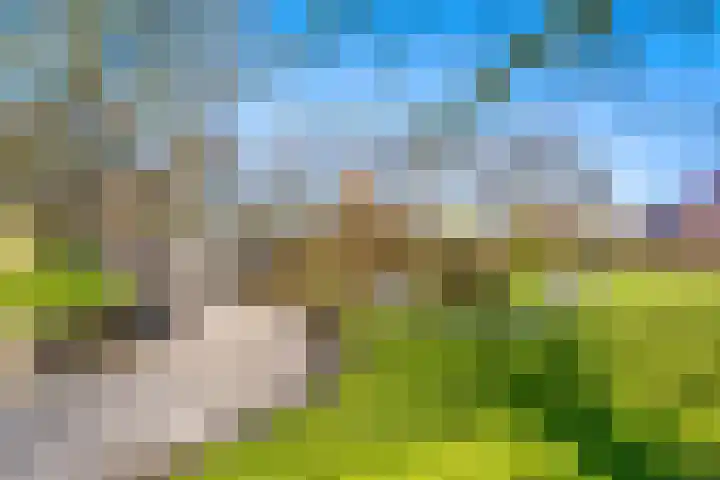 Kleasterwei 4 Tzummarum thumbnail 74