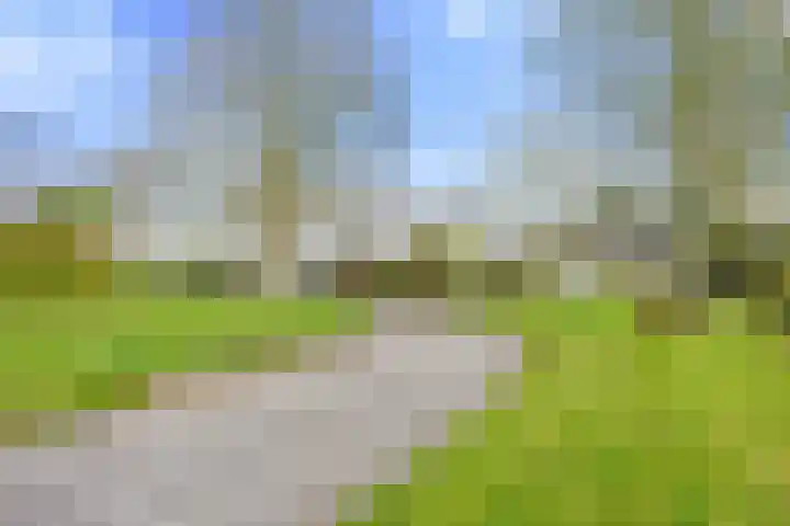 Kleasterwei 4 Tzummarum thumbnail 9