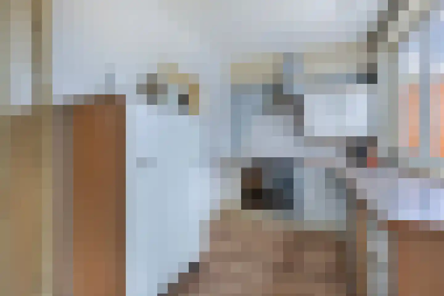 Kleasterwei 5 Akkrum thumbnail 19