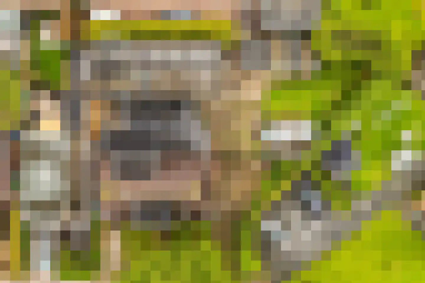 Kleasterwei 5 Akkrum thumbnail 47